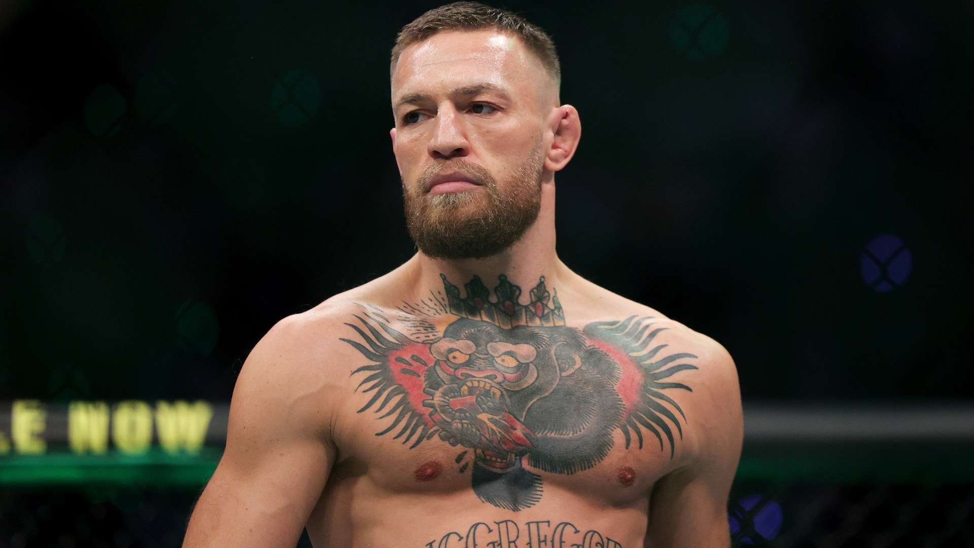 专注于传球 专注于传球