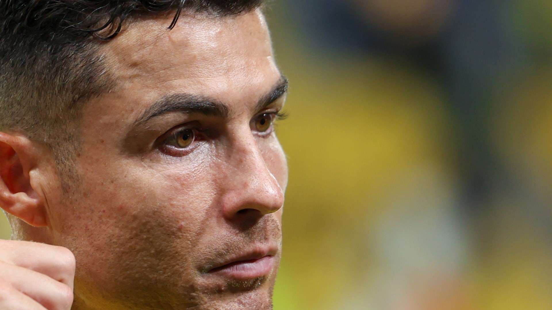 回归将大幅 回归将大幅